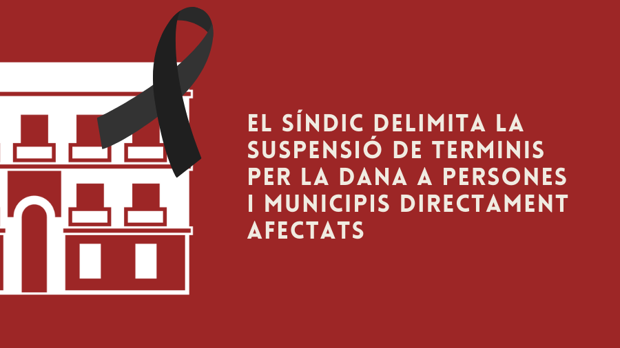 El Síndic acota la suspensión de plazos por la DANA a personas y municipios directamente afectados