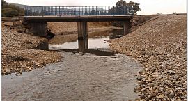 El Síndic insta l’Ajuntament d’Orpesa perquè netege el llit del riu Chinchilla