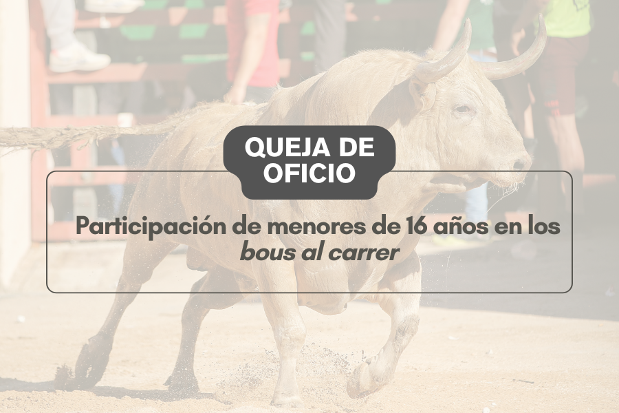 Participación de menores de 16 años en espectáculos de bous al carrer